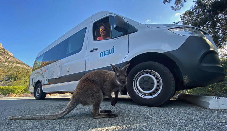 Tasmania Holidays 2025/2026 | Trailfinders